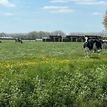 Hotelhuisjes 3* Andijk