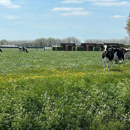 Hotelhuisjes 3* Andijk