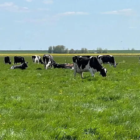 Hotelhuisjes מלון