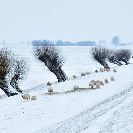 Hotelhuisjes 3* Andijk