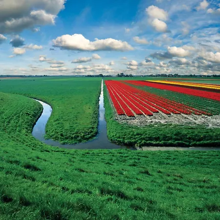 Hotel Hotelhuisjes 3*