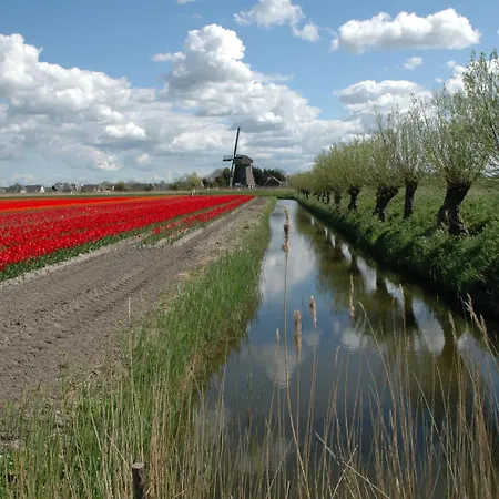 Hotelhuisjes Hotel