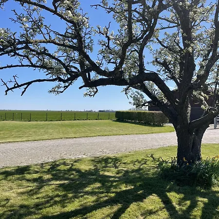 Hotelhuisjes מלון 3*