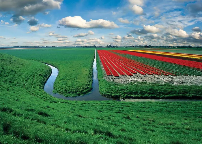 Ξενοδοχείο Hotelhuisjes 3*