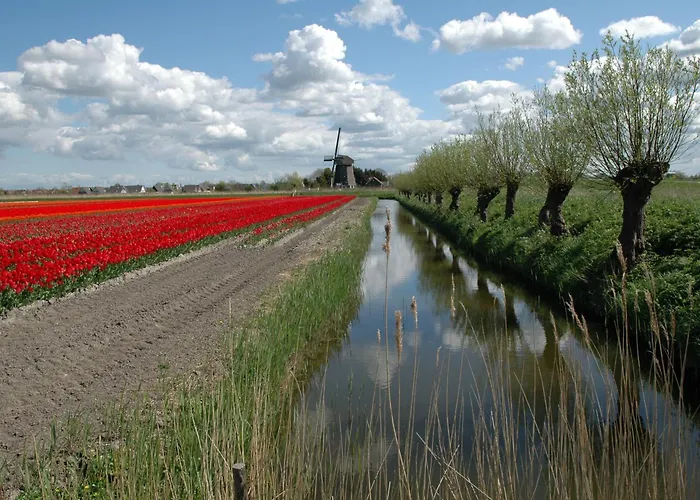 Hotelhuisjes Ξενοδοχείο