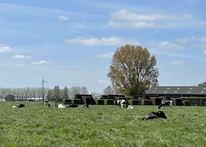 Hotelhuisjes Ξενοδοχείο Andijk