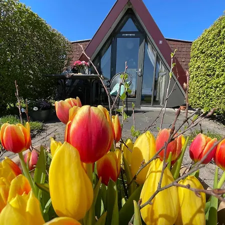 Hotelhuisjes Andijk 3*
