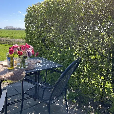 Hotelhuisjes 3* אנדייק