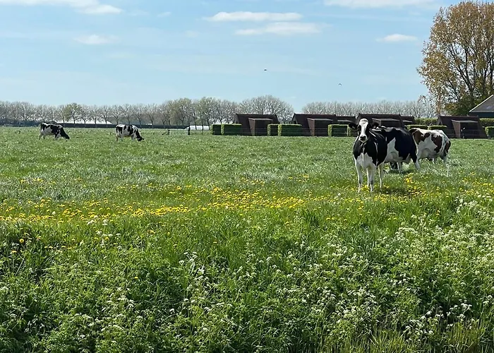 Hotelhuisjes 3* Andijk