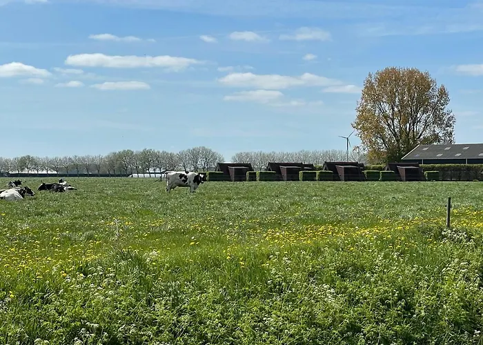 Hotelhuisjes Ξενοδοχείο 3*