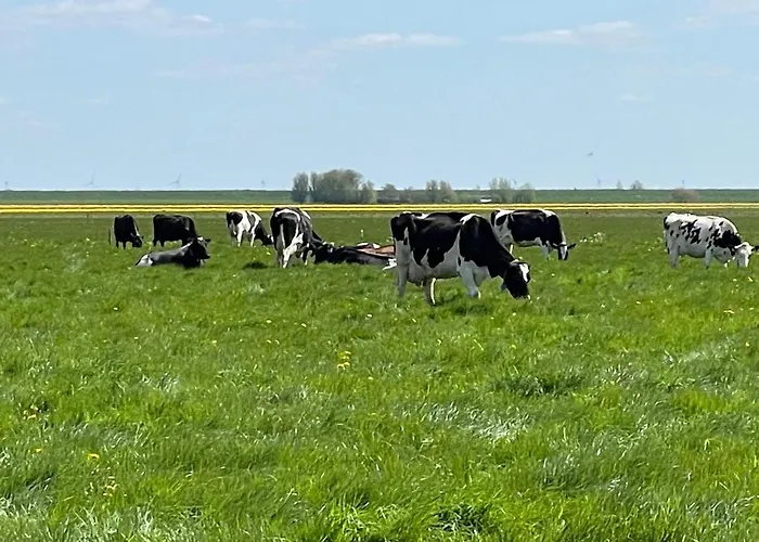 Hotelhuisjes Ξενοδοχείο