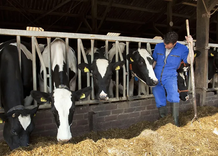 Hotelhuisjes Ξενοδοχείο 3*