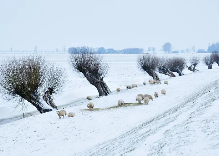 Hotelhuisjes 3* Andijk