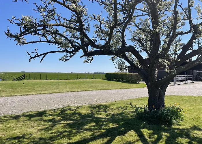 Hotelhuisjes Ξενοδοχείο 3*